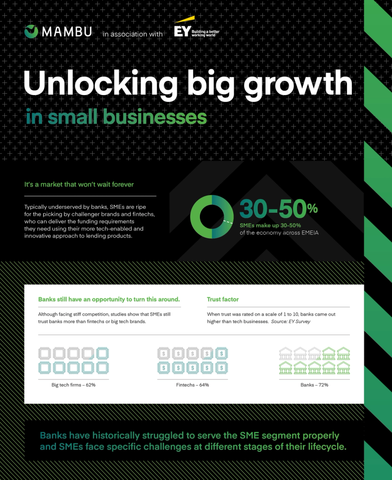 SME Lending Infographic